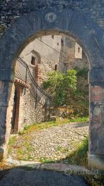 Pellegrinaggi