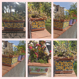 Vasi in terra cotta