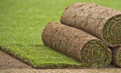 Prato erboso a rotoli pronto per la posa