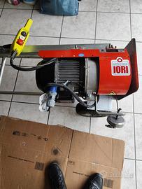 Argano IORI DM200 200kg con puntello e braccio