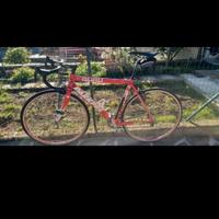 Bicicletta strada PARKPRE team GURU