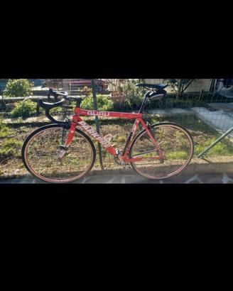 Bicicletta strada PARKPRE team GURU