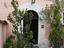 Immagine 6