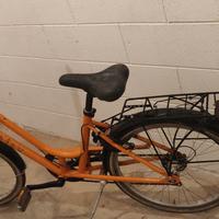 Bicicletta da uomo/donna 24