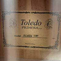 Chitarra Toledo Tc 601