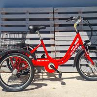 Ebike a 3 ruote