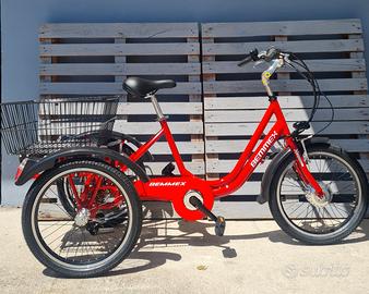 Ebike a 3 ruote