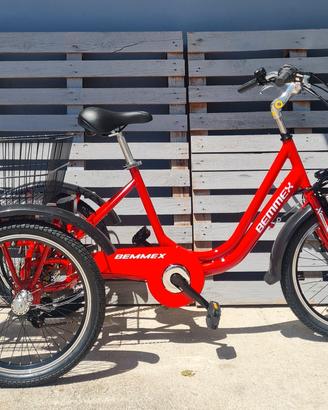 Ebike a 3 ruote
