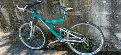 MTB 29