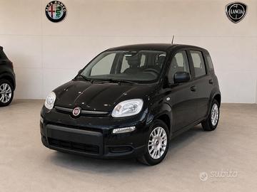 FIAT Pandina III 2024 - Pandina 1.0 firefly hybrid