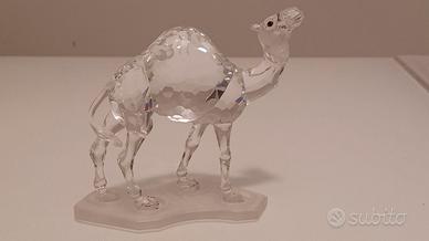 SWAROVSKI DROMEDARIO