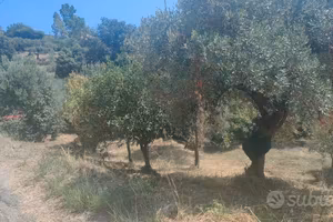 Terreno agricolo Località San Marco Acquavella