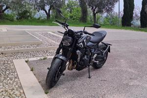 Triumph Trident 660 - 2024
