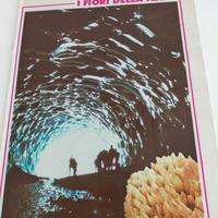 fascicolo sui minerali + fossili