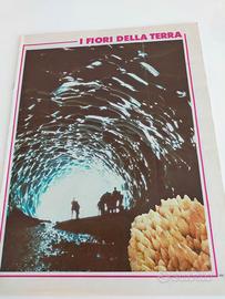 fascicolo sui minerali + fossili