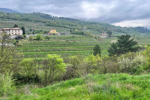 Terreno Agricolo a Rovereto