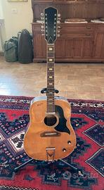 Chitarra 12 corde elettroacustica