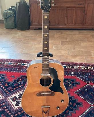Chitarra 12 corde elettroacustica