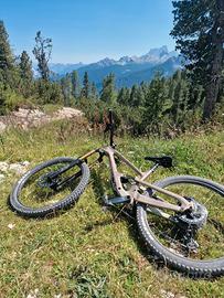 bici da enduro