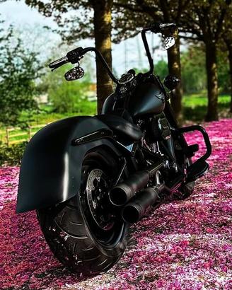 Parafango posteriore Harley Softail (LEGGI)