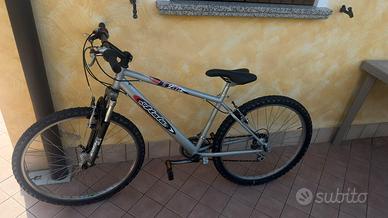 Bici da ragazzo