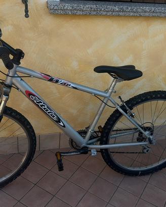 Bici da ragazzo