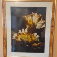 Quadri particolarissimi