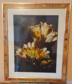 Quadri particolarissimi