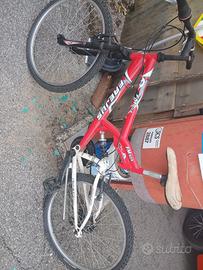 Lotto 4 Biciclette in blocco (BMX, 2 MTB, Donna)