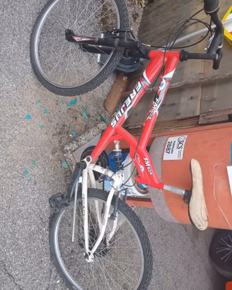 Lotto 4 Biciclette in blocco (BMX, 2 MTB, Donna)
