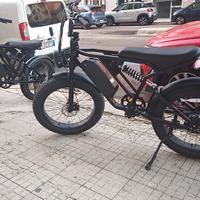 YANGOR Y-24 bici elettrica FAT bike 250W 48V 20Ah