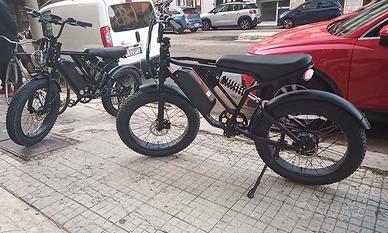 YANGOR Y-24 bici elettrica FAT bike 250W 48V 20Ah