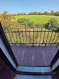 Terreno giard di 300 mq via della chiesa rossa 379