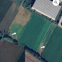 Terreno agricolo con titoli