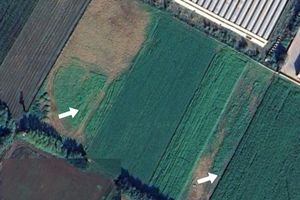 Terreno agricolo con titoli