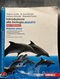 Libri scolastici