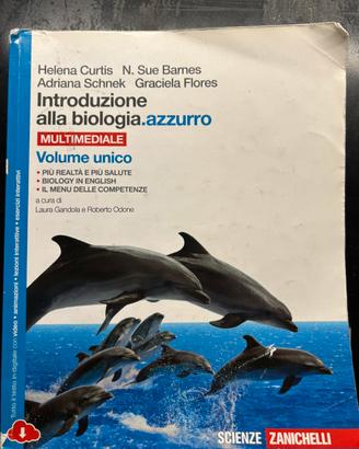 Libri scolastici