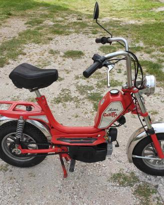 Mini califfo rizzato 1981 con libretto