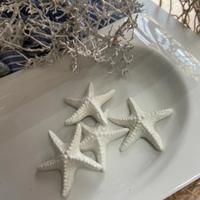 piccole stelle marine in ceramica bianche
