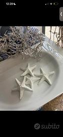 piccole stelle marine in ceramica bianche