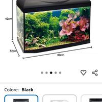 Acquario