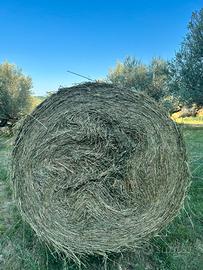 Fieno erba medica