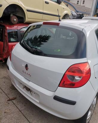 Portellone nudo RENAULT CLIO del 2008