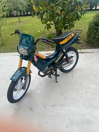 motron gl4