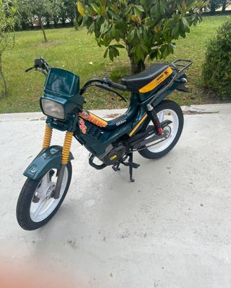 motron gl4