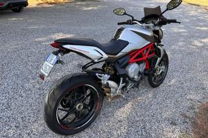 Mv Augusta Brutale 800