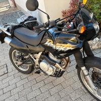 Honda NX 650 Dominator - 1999