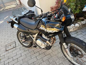 Honda NX 650 Dominator - 1999