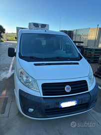 Fiat Scudo Frigo