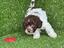 Immagine 5